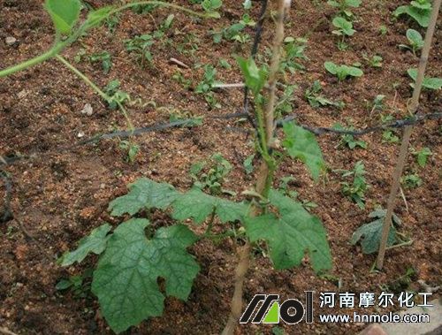 2223_副本.jpg 2223_副本.jpg