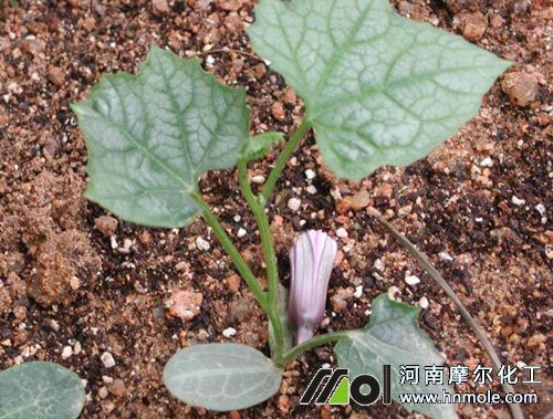 121212_副本.jpg 121212_副本.jpg