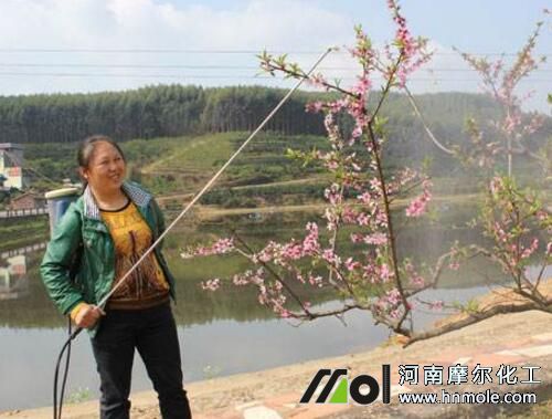 桃樹葉面噴施補充磷 桃樹葉面噴施補充磷