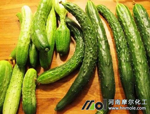 黃瓜兩頭粗中間細缺什么肥 黃瓜兩頭粗中間細缺什么肥
