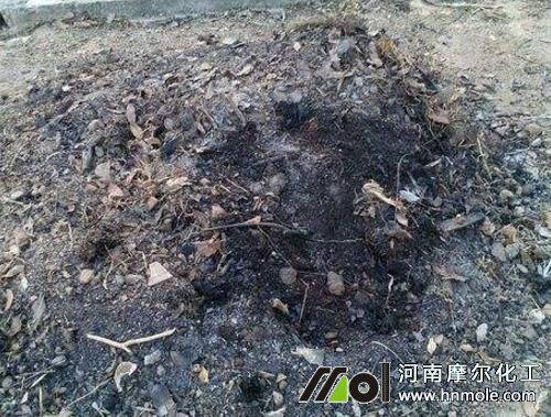 黃瓜施農家有機肥 黃瓜施農家有機肥