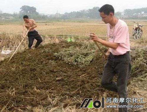 李子果樹施底肥 李子果樹施底肥