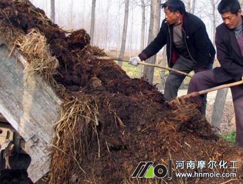 木瓜施肥時間及方法