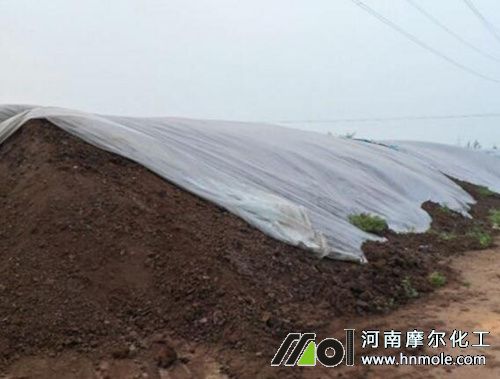 棗樹施什么肥最好