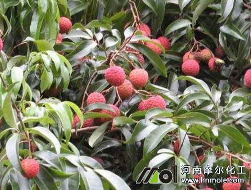 1212_副本.jpg 1212_副本.jpg