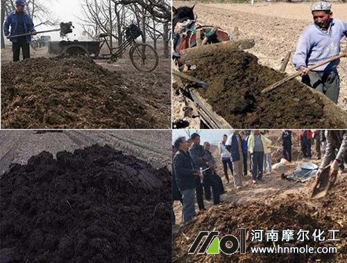 李子樹施底肥 李子樹施底肥