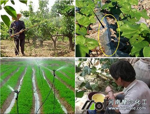 水溶肥使用方法差異 水溶肥使用方法差異