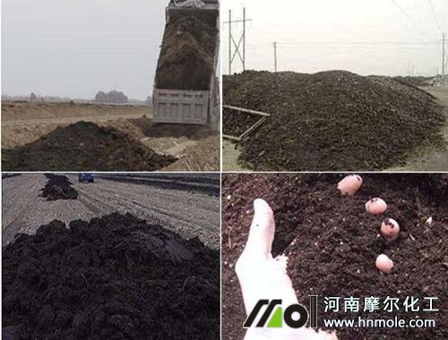 半夏高產(chǎn)施肥方法 半夏高產(chǎn)施肥方法