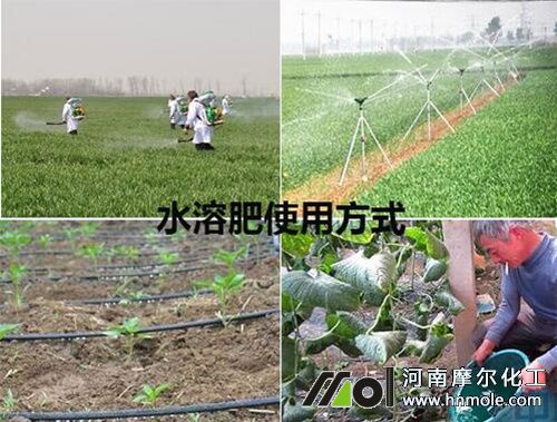 水溶肥使用方式方法 水溶肥使用方式方法