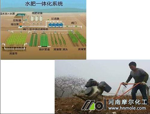 水溶肥與復合肥發展差異 水溶肥與復合肥發展差異