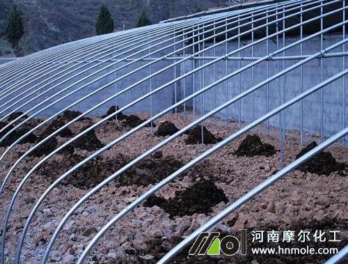 黃瓜施肥技術 黃瓜施肥技術