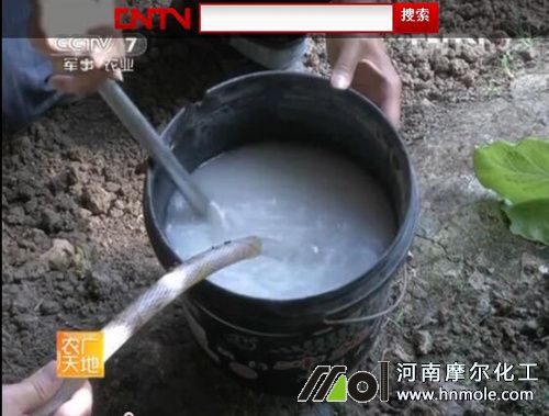 水溶肥溶解方法 水溶肥溶解方法