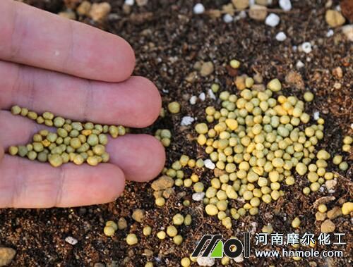 控釋肥顆粒 控釋肥顆粒