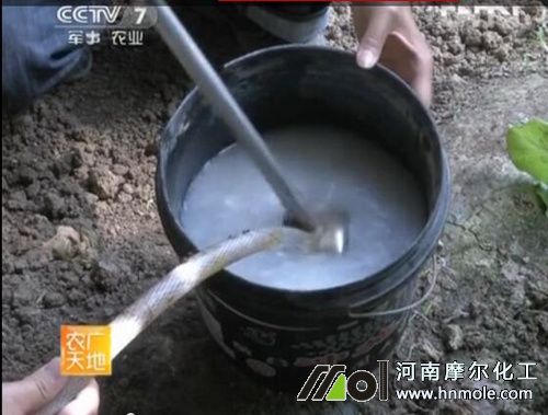 水溶肥兌水稀釋方法 水溶肥兌水稀釋方法