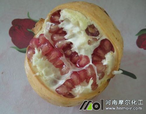 石榴水溶肥使用效果3 石榴水溶肥使用效果3