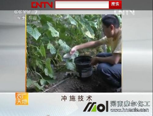 沖施水溶肥 沖施水溶肥