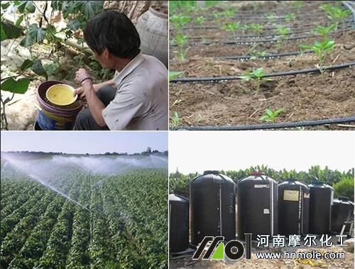 水溶肥的使用方式 水溶肥的使用方式