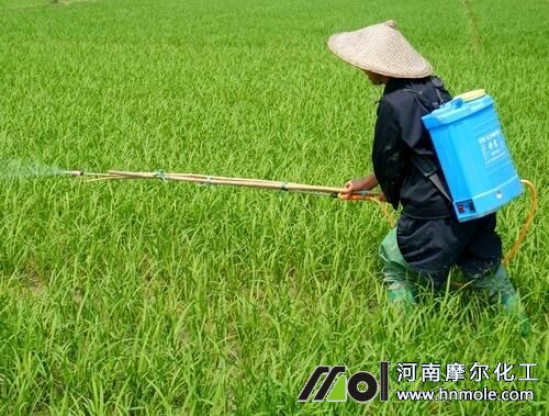 水溶肥葉面噴施濃度 水溶肥葉面噴施濃度