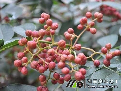 花椒樹上什么肥 花椒樹上什么肥