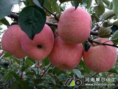 果樹水溶肥施肥間隔 果樹水溶肥施肥間隔