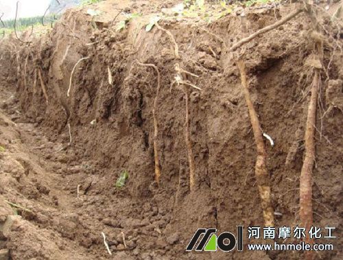 山藥水溶肥使用方法 山藥水溶肥使用方法