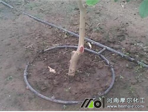 柑橘滴灌水溶肥 柑橘滴灌水溶肥