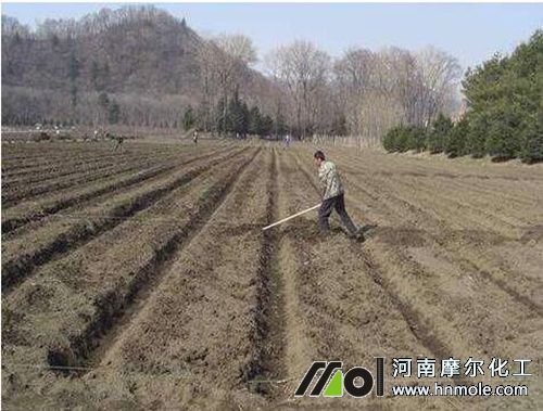 種植南瓜施基肥 種植南瓜施基肥