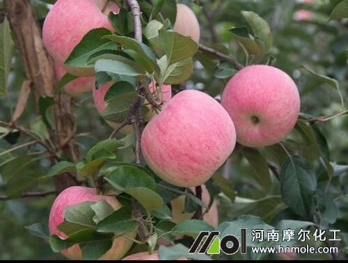 果樹水溶肥用量及稀釋 果樹水溶肥用量及稀釋