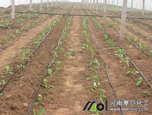 水溶肥料使用方式 水溶肥料使用方式