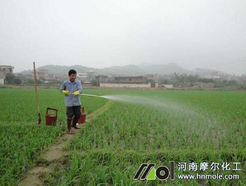 水溶性肥料用法 水溶性肥料用法