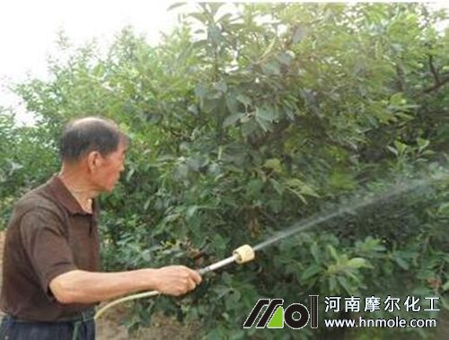 水溶肥的使用方法 水溶肥的使用方法