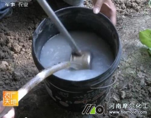 水溶肥溶解邊加水邊攪拌 水溶肥溶解邊加水邊攪拌