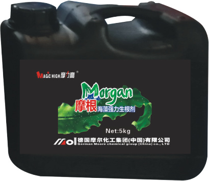 摩根海藻強(qiáng)力生根劑 摩根海藻強(qiáng)力生根劑