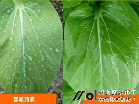 植物精油性能 植物精油性能