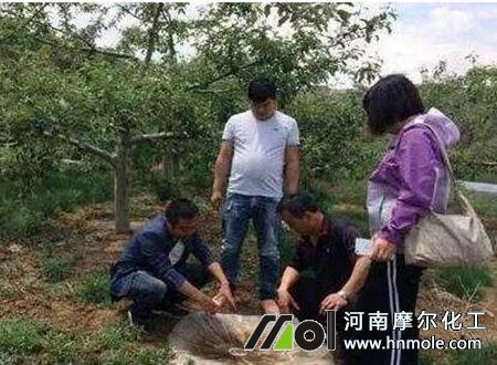 甲殼素適用作物 甲殼素適用作物