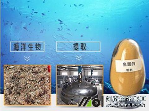 魚蛋白水溶肥用法 魚蛋白水溶肥用法