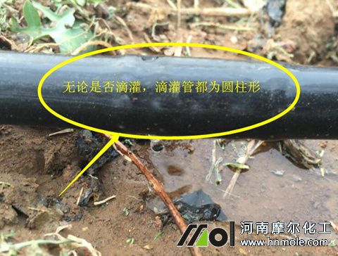 內鑲式滴灌管 內鑲式滴灌管