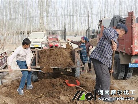 生姜施農(nóng)家肥 生姜施農(nóng)家肥