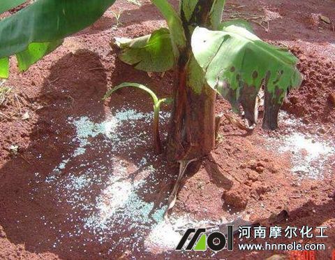 水溶性硅肥用法 水溶性硅肥用法