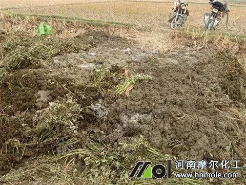 大蔥用什么水溶肥 大蔥用什么水溶肥