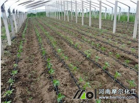 大棚水溶肥使用注意 大棚水溶肥使用注意