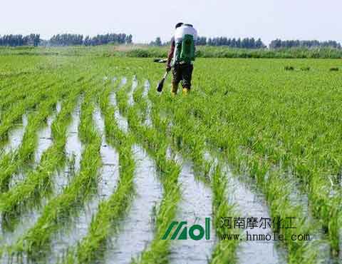 水稻磷酸二氫鉀 水稻磷酸二氫鉀