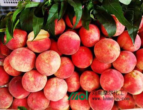 桃子施肥 桃子施肥