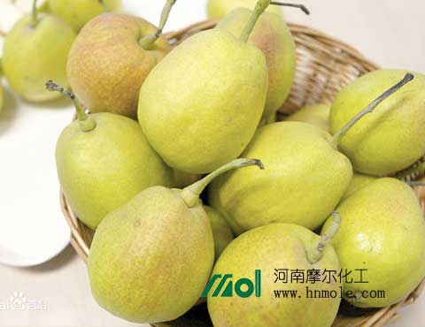 xianglishifei xianglishifei