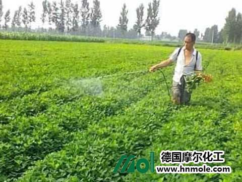 花生施肥建議 花生施肥建議