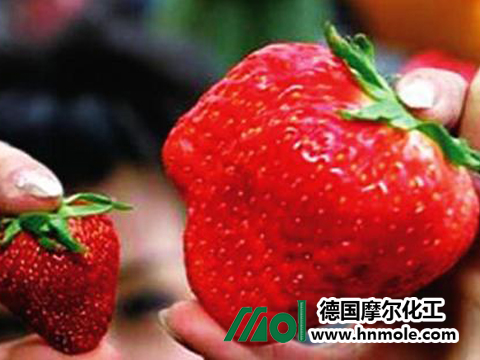 草莓葉面肥 草莓葉面肥