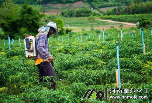 微量元素水溶肥用法 微量元素水溶肥用法