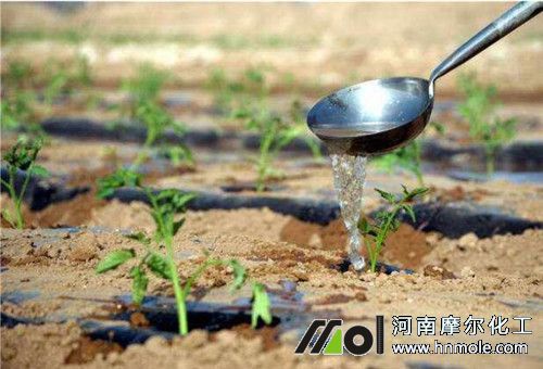 水溶肥使用注意 水溶肥使用注意