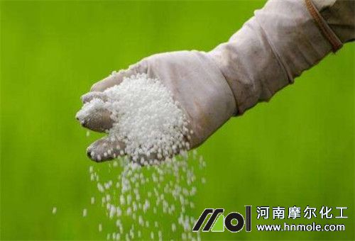 生根氮肥 生根氮肥