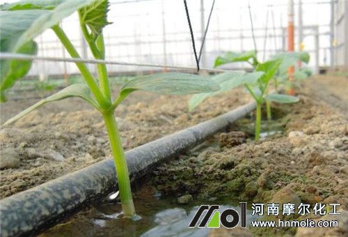高鉀水溶肥優勢 高鉀水溶肥優勢